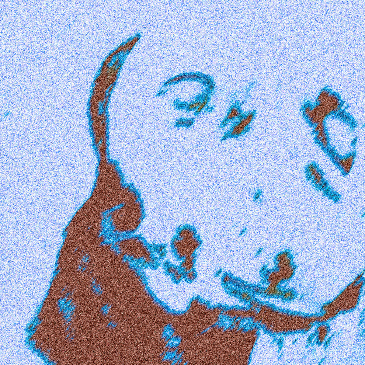 SLAP RASH - Catherine Special EP