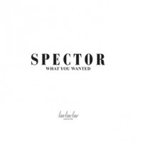Spector - What You Wanted