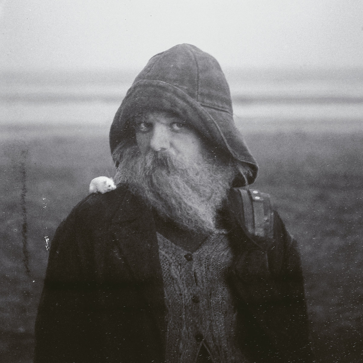 Role Model Hermit