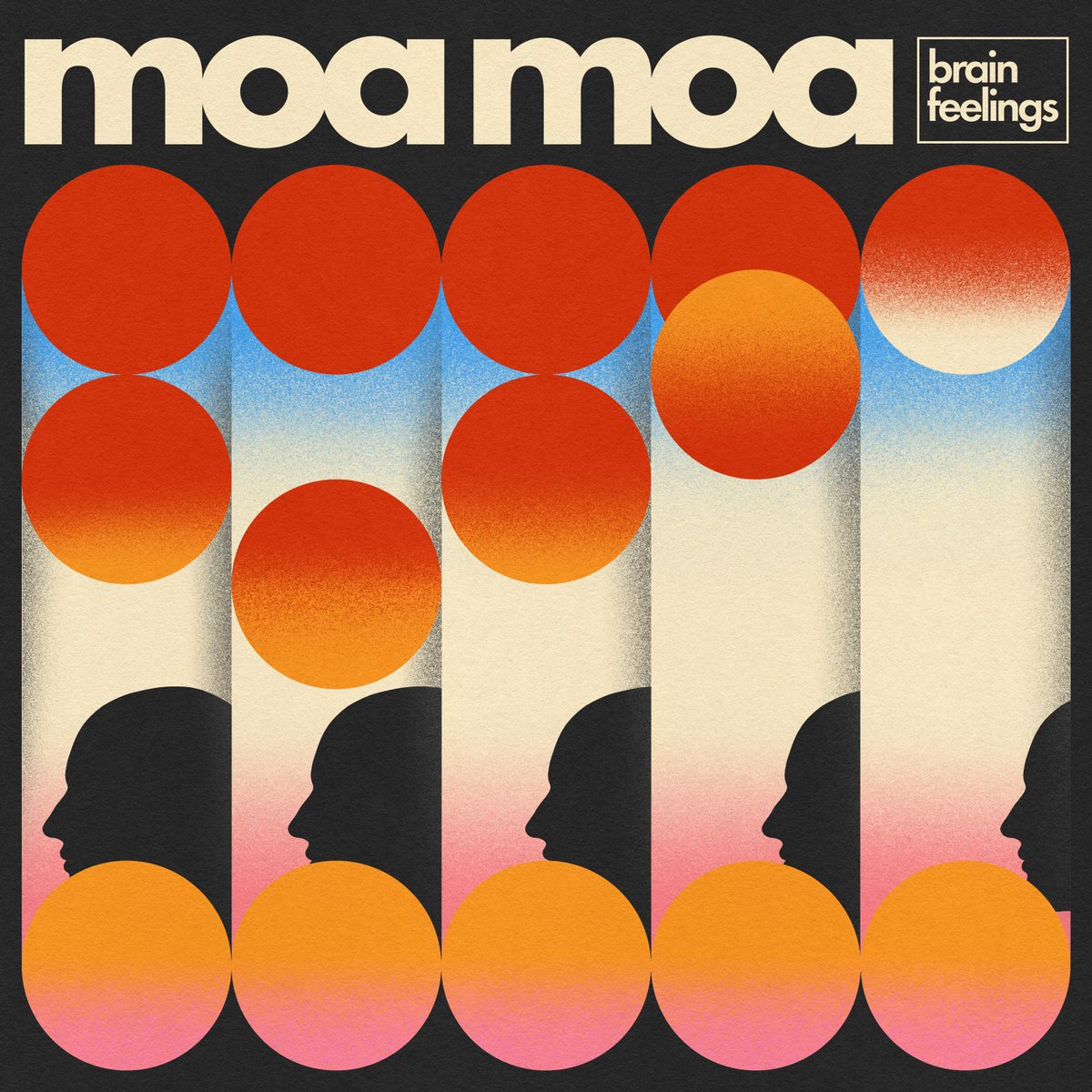 moa moa