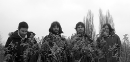 Un EP de The Black Ships à télécharger