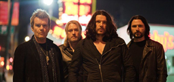 The Cult