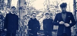 Une date en France pour The Quangos