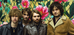 The Velvet Hands