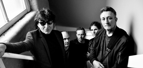 Chameleons, Swell Maps, Hugh Cornwell